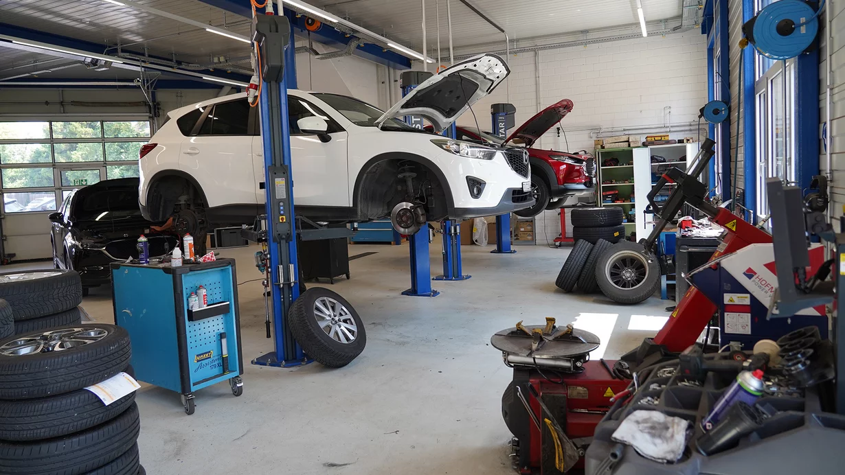 Generelle Unsicherheit bremst die Garagenzulieferbranche
									 
										Generelle Unsicherheit bremst die Garagenzulieferbranche