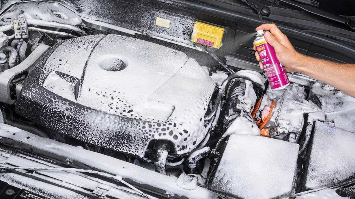 
										WVD Südcaravan setzt auf Stop&Go Marderabwehr
									