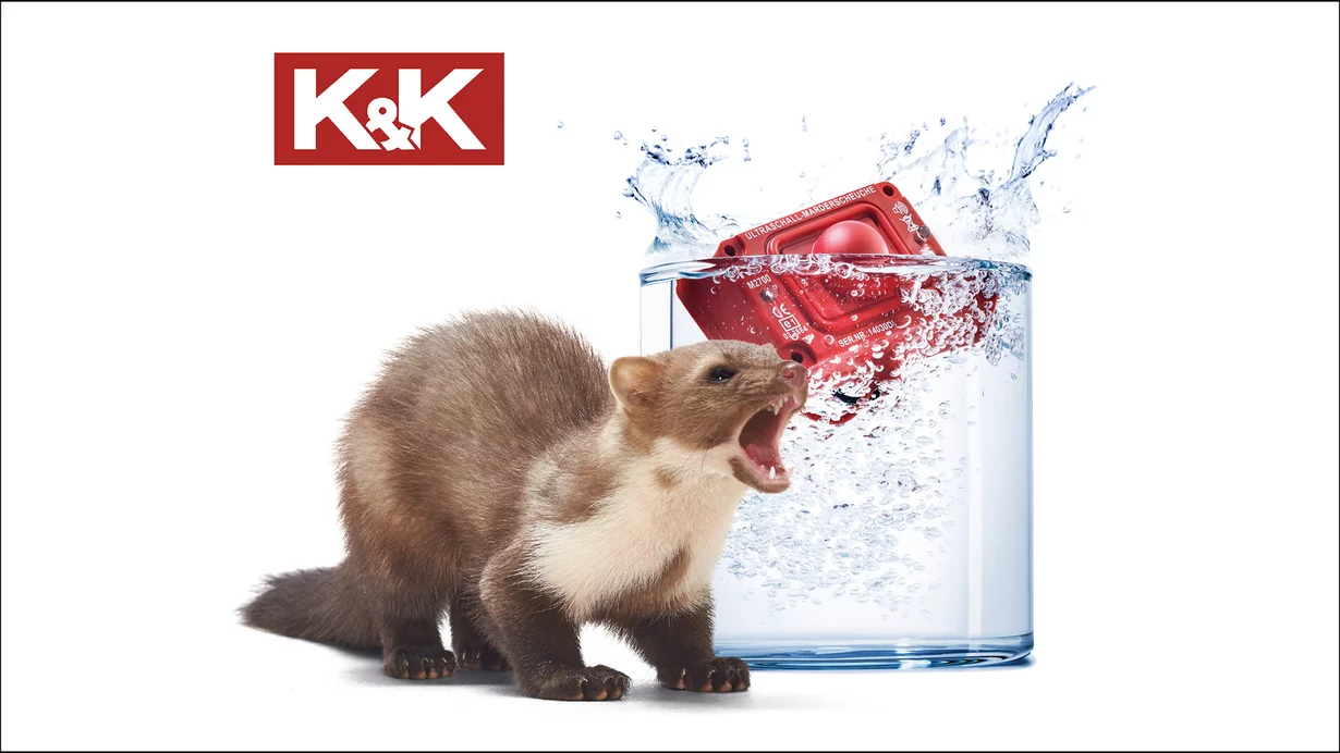 
										Marderabwehr auf höchstem Niveau
									