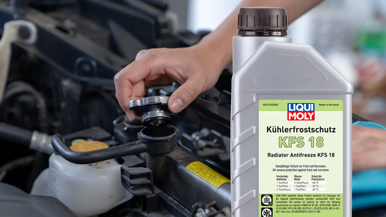 
										Alles im grünen Bereich
									