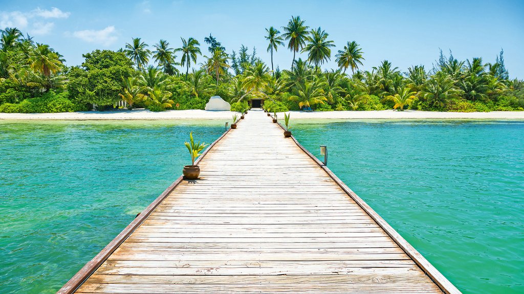 
										Ferien im Betrieb &ndash; was wirklich gilt
									