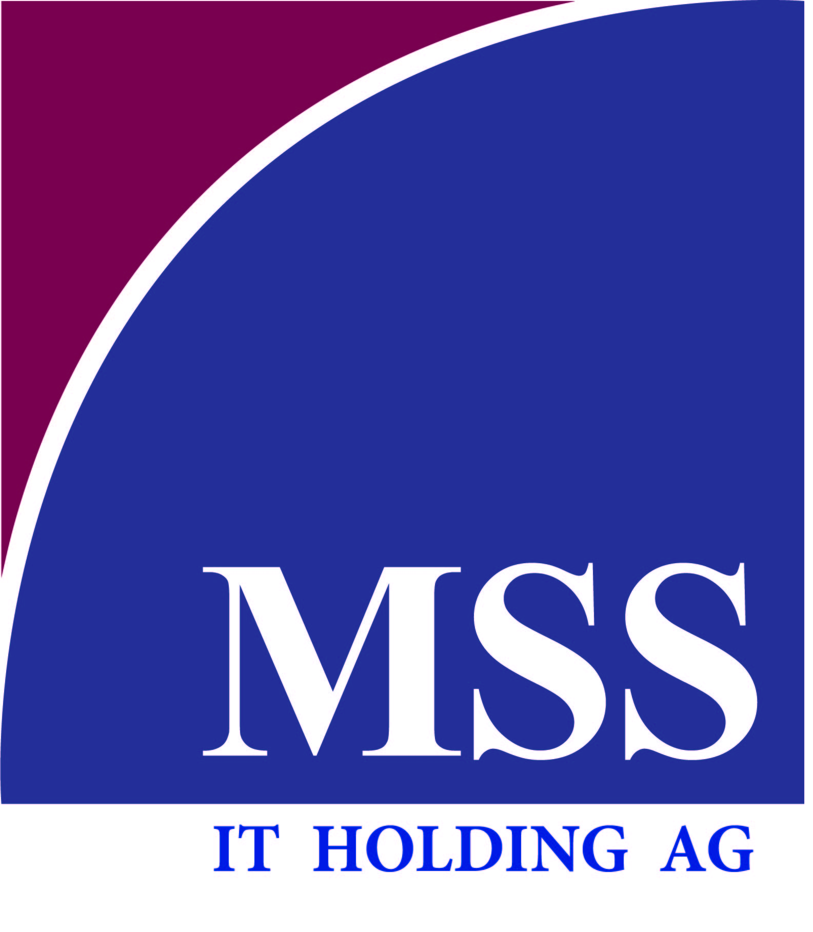 mss_it_holding_ag.jpg