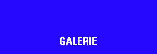 teaser_bildergallerie_520x180px.jpg